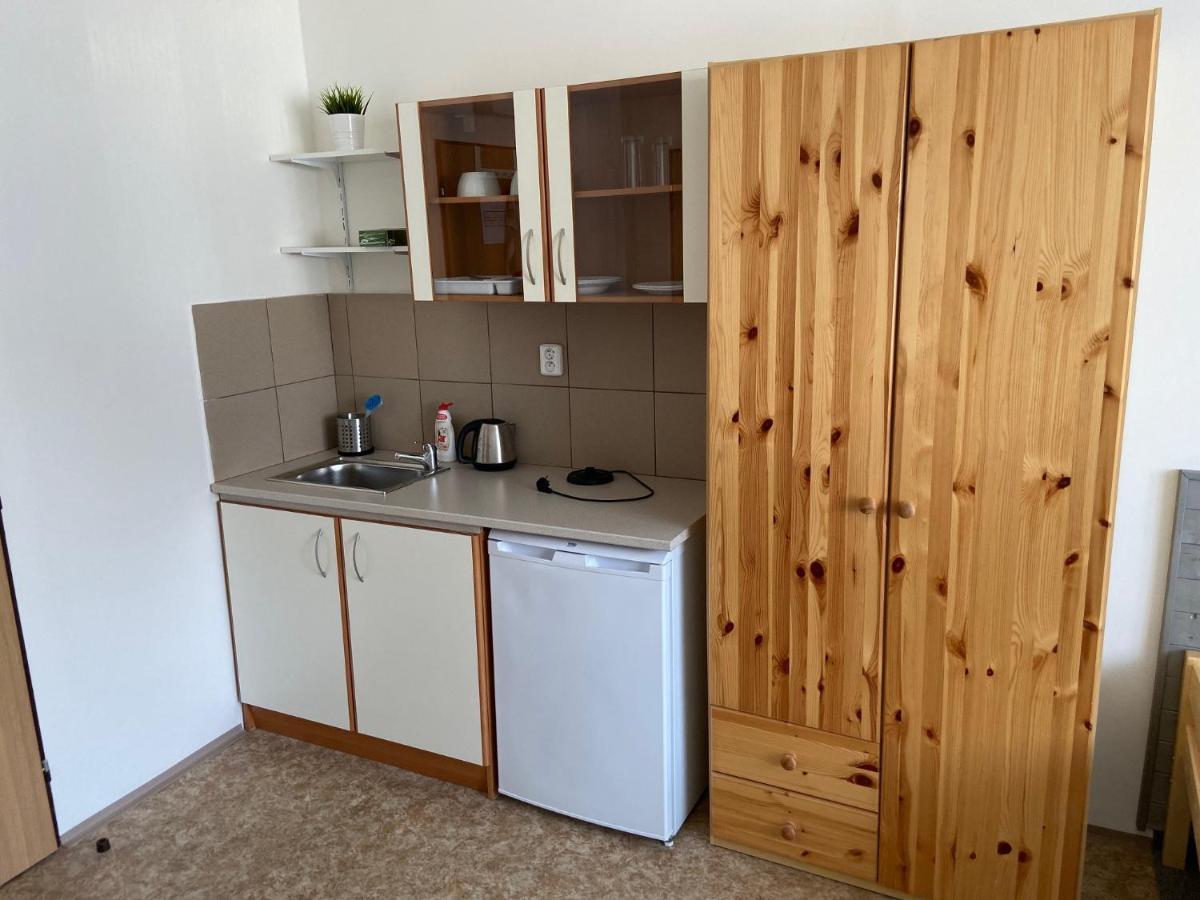Apartmany Premyslova Hradec Králové Eksteriør billede